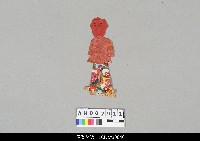 藏品(中國替身)的圖片